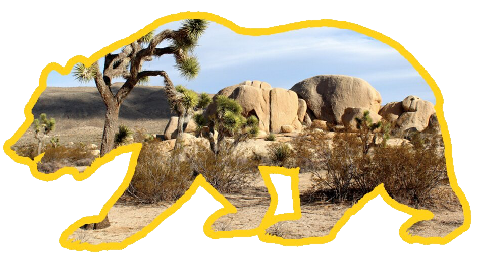 Mountain Mojave Chapter